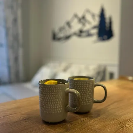 Gorski Mikroapartament 아파트 *